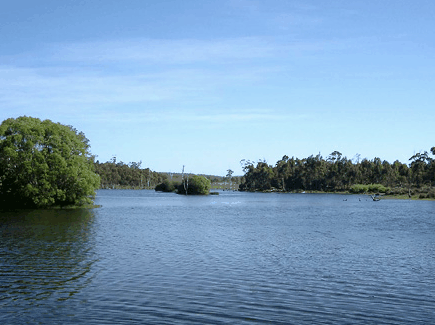 Currawong Lakes