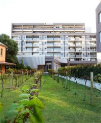 Honeysuckle Executive Apartments - St Kilda Accommodation