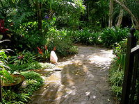 Coco's Country Cottage - Tourism Cairns