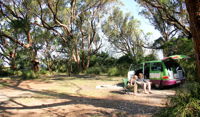 Aragunnu campground - New South Wales Tourism 