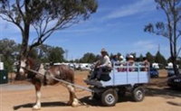 Ariah Park Camping Ground - New South Wales Tourism 