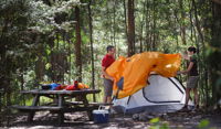Bald Rock campground and picnic area - Sunshine Coast Tourism