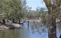 Beds on the Barwon - QLD Tourism