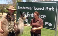Bendemeer Tourist Park - New South Wales Tourism 