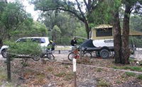 Bittangabee campground - QLD Tourism