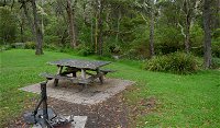 Chaelundi campground - QLD Tourism