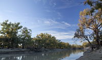 Darling River campground