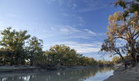 Darling River campground - Australia Accommodation