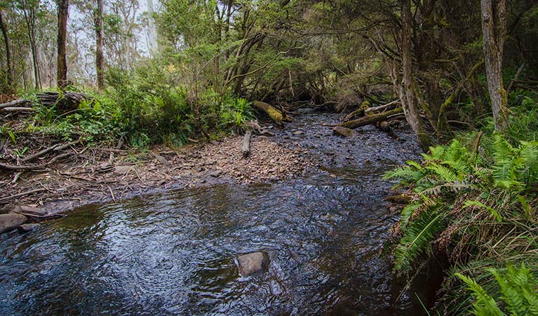 Moonan Brook NSW Victoria Tourism