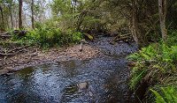 Horse Swamp campground - QLD Tourism