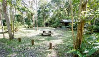 Iron Pot Creek campground - Tourism Gold Coast