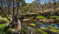 Junction Pools campground - QLD Tourism