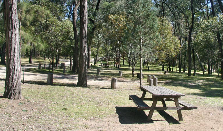 Atholwood NSW Tourism TAS