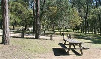 Lemon Tree Flat campground - New South Wales Tourism 