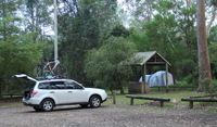 Mill Creek campground - Sydney Tourism