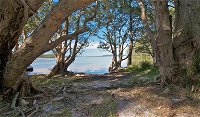 Neranie Campground - New South Wales Tourism 