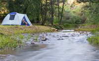 Nymboida Camping  Canoeing - QLD Tourism
