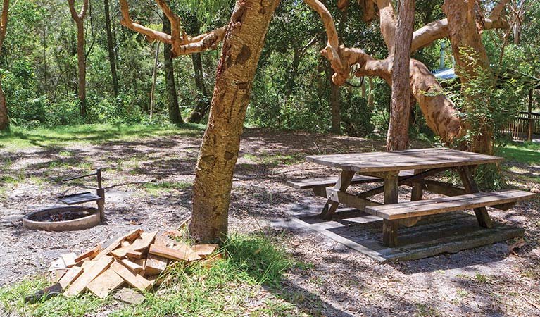 Warragai Creek NSW New South Wales Tourism 
