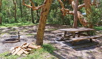 Station Creek campground - Sydney Tourism