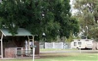 Warialda Caravan Park - Australia Accommodation