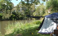 Williams River Holiday Park - Hotel Accommodation