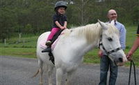 Mansfield Cottage Barrington Tops Accommodation - Stayed