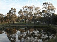Greysen Farmstay - New South Wales Tourism 
