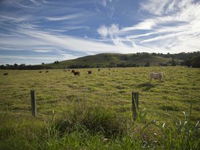 Annas Retreat - Accommodation NSW