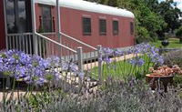 Country Carriage Bed and Breakfast - QLD Tourism