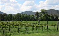 Jessica's Guest House and Vineyard - Tourism TAS