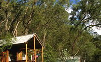 Coast and Country Cabins - Tourism Gold Coast