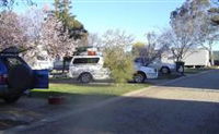 Ilkley Cottages - Australia Accommodation