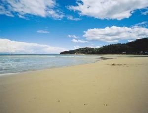 Jervis Bay NSW New South Wales Tourism 