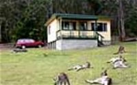 Port Pitstop Cottage - New South Wales Tourism 