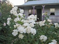 Thistledown Country Retreat - Stayed