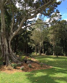 Lower Beechmont QLD QLD Tourism