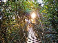 O'Reilly's Rainforest Retreat - QLD Tourism