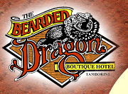 The Bearded Dragon Hotel - Melbourne Tourism