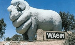 Wagin Motel - Tourism TAS