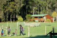 Diamond Forest Cottages Farmstay - Accommodation ACT