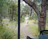 Kerriley Park Forest and Farmstay - Tourism TAS