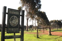 Harmony Forest - Accommodation NSW