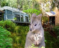Huon Bush Retreats - New South Wales Tourism 