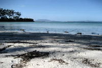 Saltwater River Convict Beach House