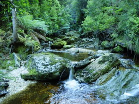 Corinna TAS VIC Tourism