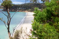 Weilangta Holiday Home - Australia Accommodation