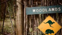 Woodlands Rainforest Retreat - Accommodation ACT