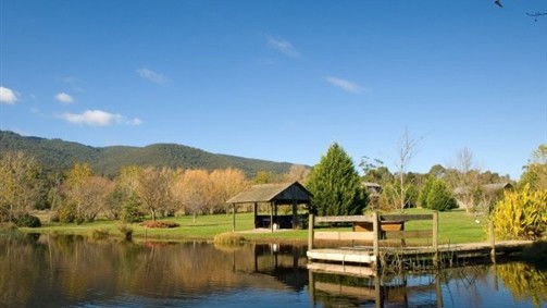 Badger Creek VIC QLD Tourism