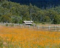 Pender Lea Alpine Guest Accommodation - Accommodation NSW