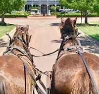 Hunter Valley Horses - QLD Tourism